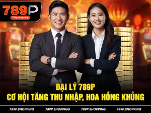 Tổng quan về chương trình hợp lý đại lý 789P