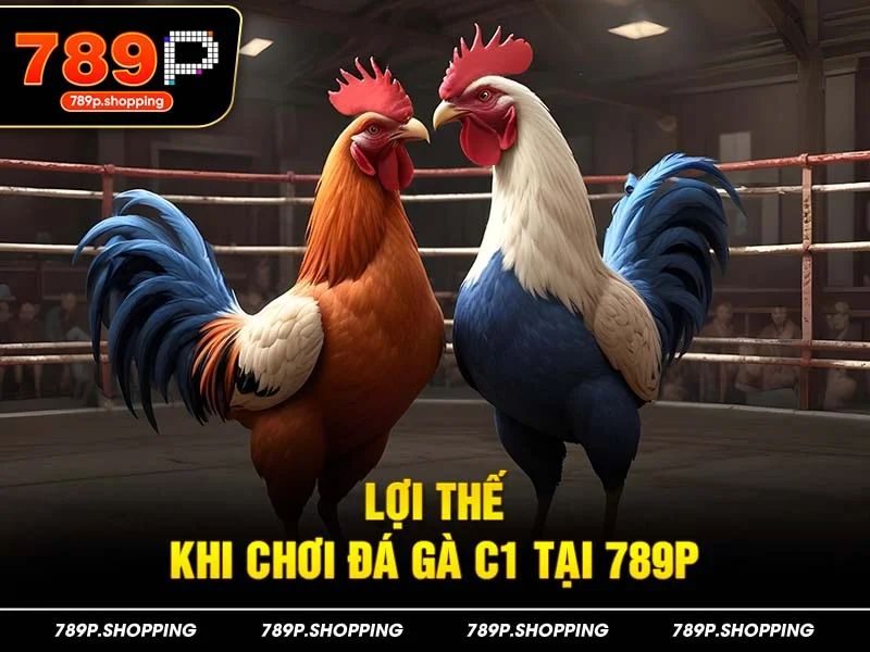 Lợi thế khi chơi đá gà C1 tại 789P